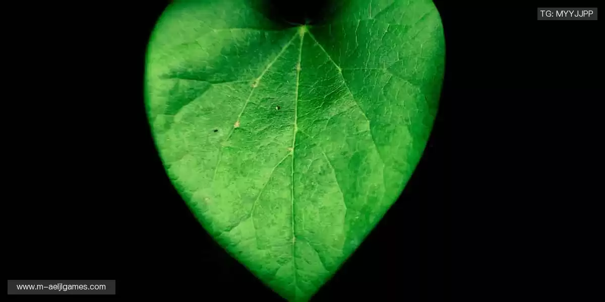 从赛场到生活，热爱不止！🎯 个性周边，让运动精神融入日常！